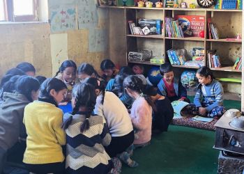 Toy-Book-Library-2