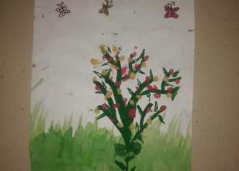 drawing